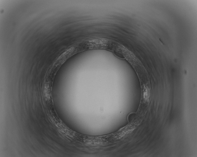 X0000086310819200704091044
