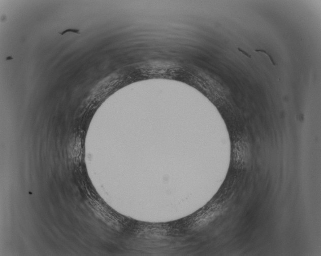X0000086310820200704091044