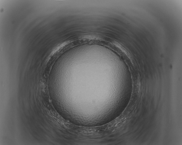 X0000086310823200704091044