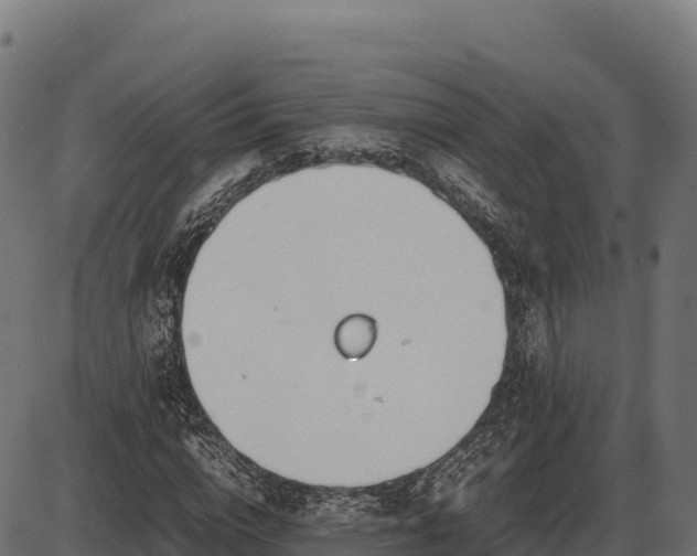 X0000086310824200704091044