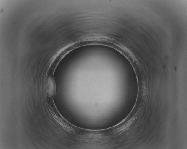 X0000086310830200704091044