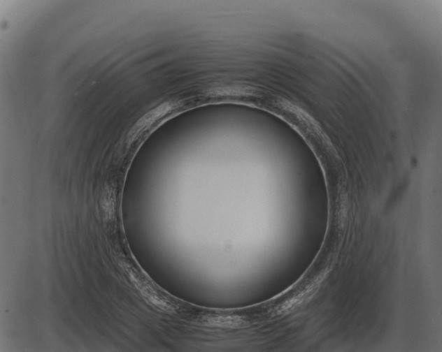 X0000086310833200704091045