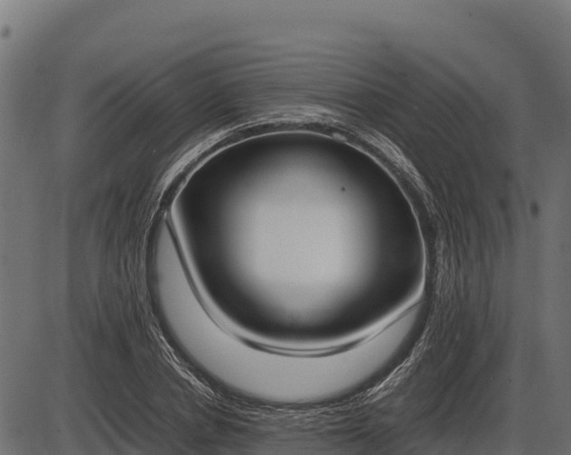 X0000086310834200704091045