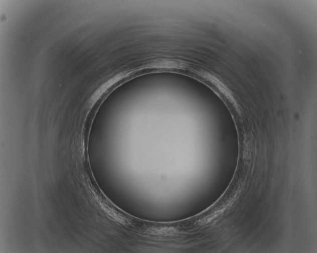 X0000086310837200704091045