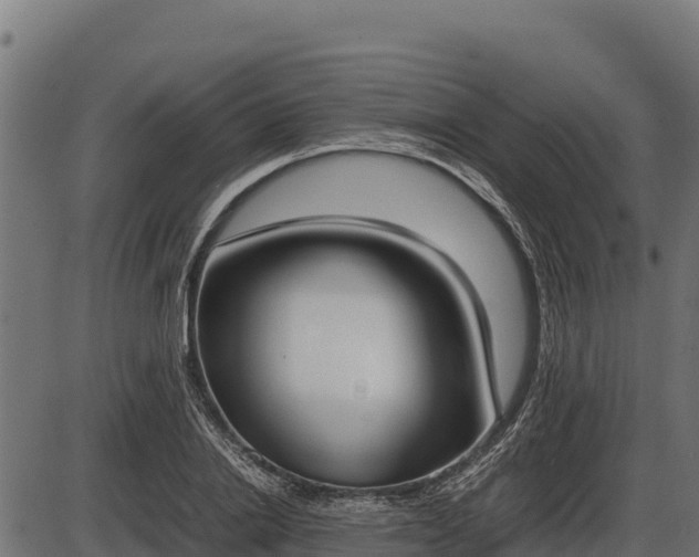 X0000086310838200704091045