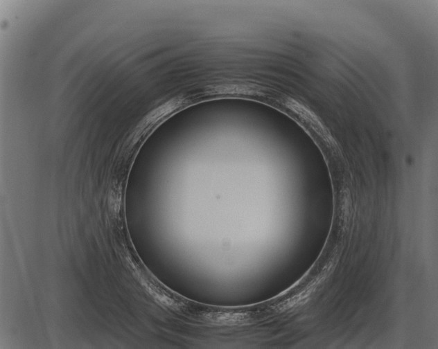 X0000086310841200704091045