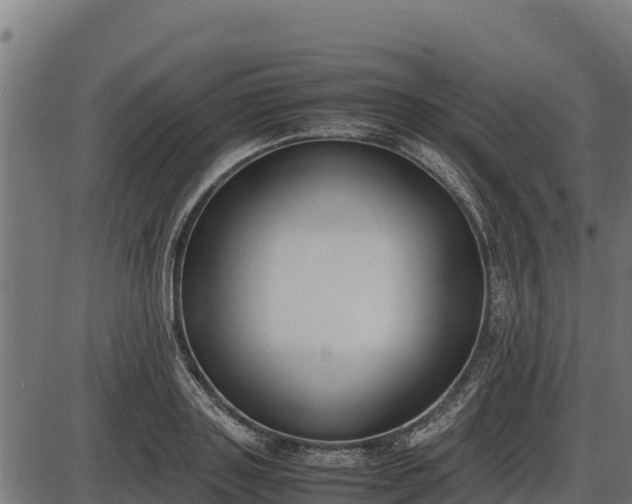 X0000086310843200704091045