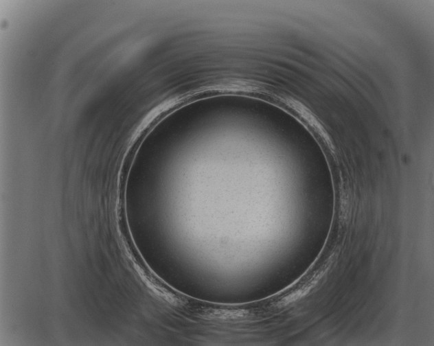 X0000086310845200704091045