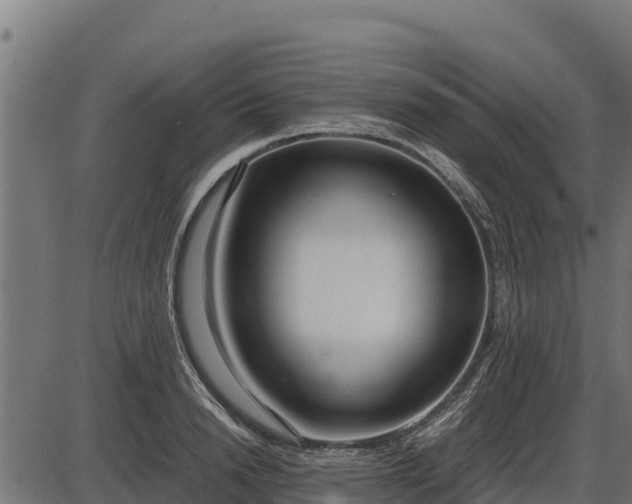 X0000086310846200704091045