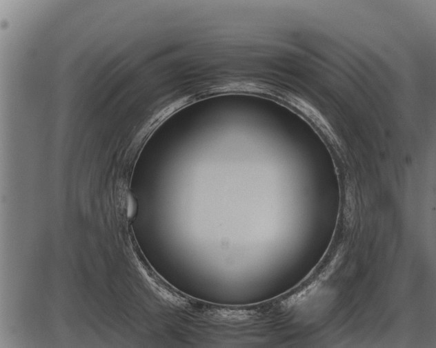 X0000086310849200704091045