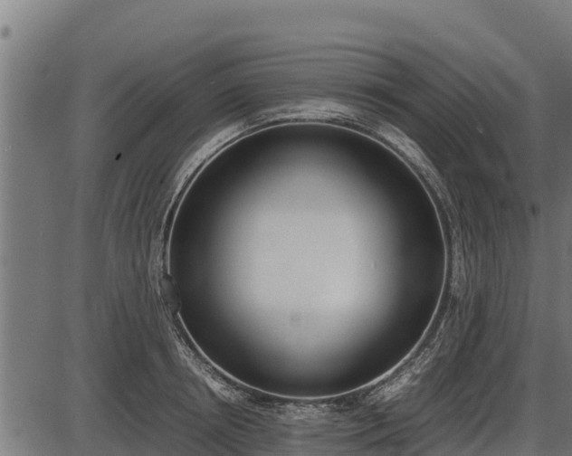 X0000086310850200704091045