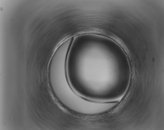 X0000086310858200704091045