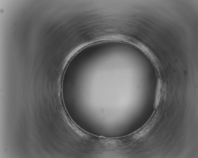 X0000086310862200704091045