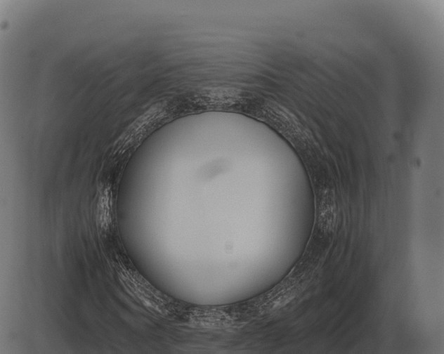X0000086310866200704091044