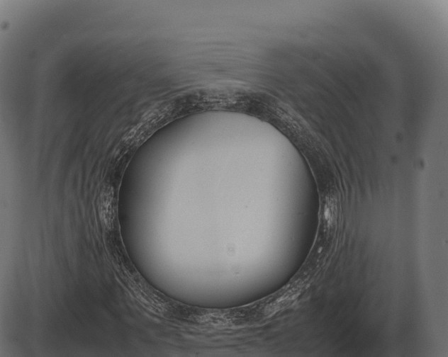 X0000086310867200704091044