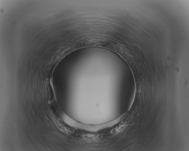 X0000086310868200704091044