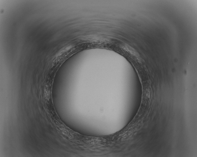 X0000086310869200704091044