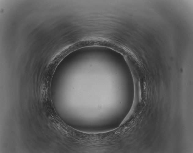 X0000086310872200704091044