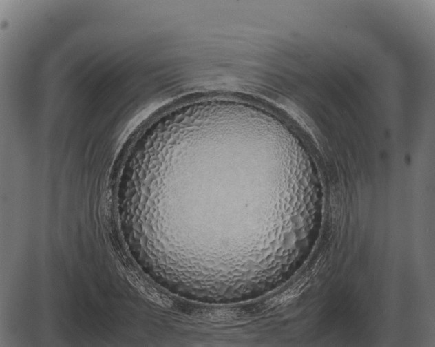 X0000086310879200704091044