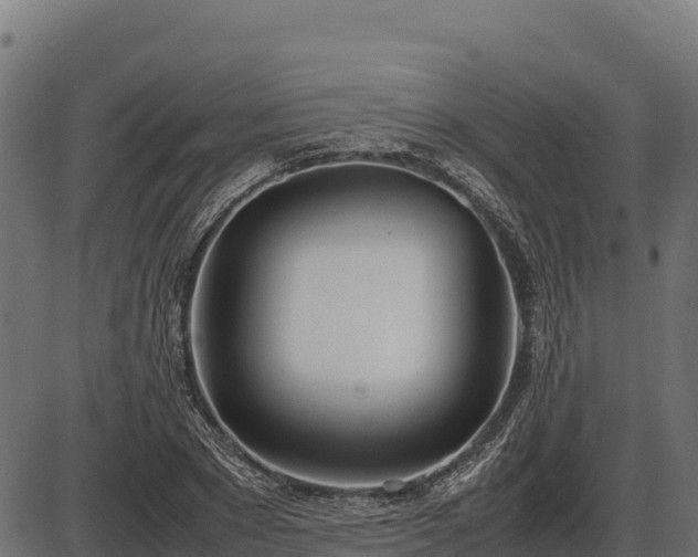 X0000086310881200704091044