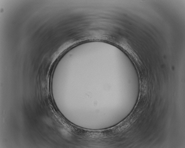 X0000086310886200704091044