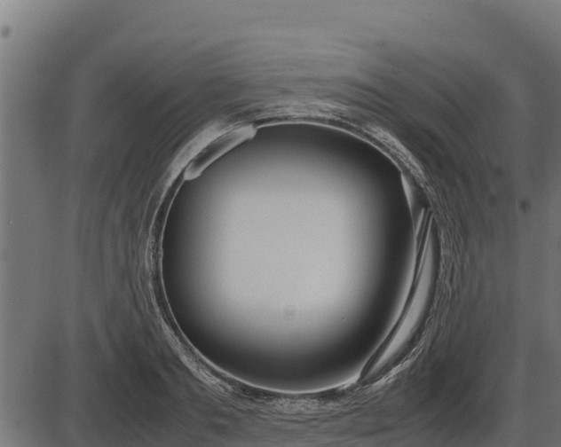 X0000086310893200704091044