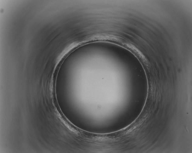 X0000086310894200704091044