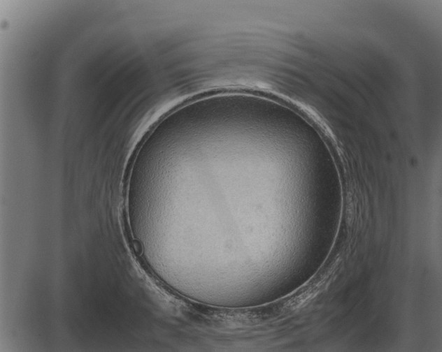 X0000086310895200704091044