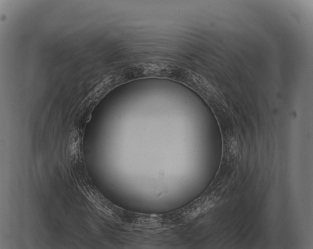 X0000086310914200704091043