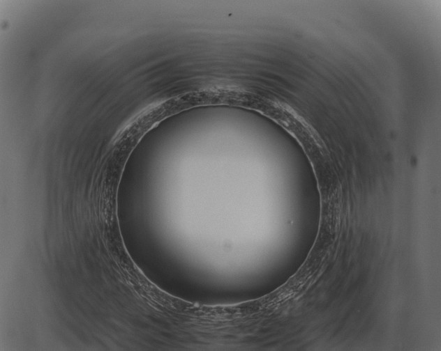 X0000086310919200704091043