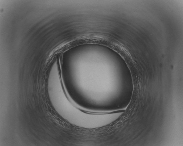 X0000086310920200704091043