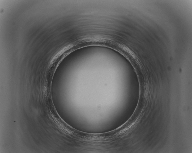 X0000086310922200704091043