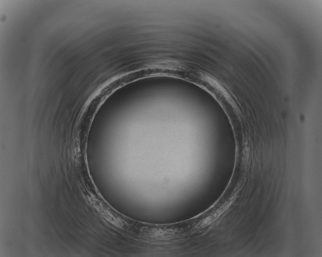 X0000086310923200704091043