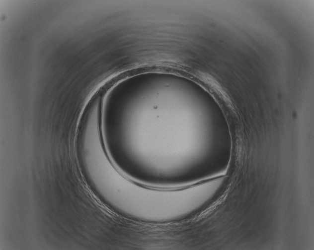 X0000086310924200704091043