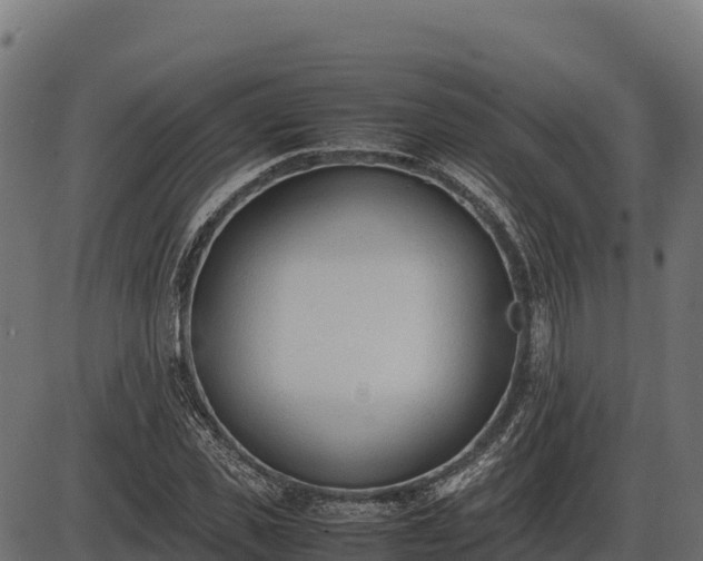 X0000086310925200704091043
