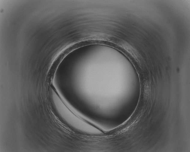 X0000086310926200704091043