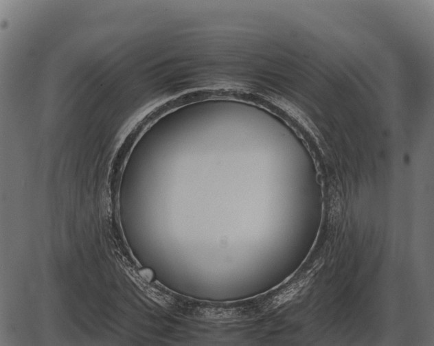X0000086310927200704091043