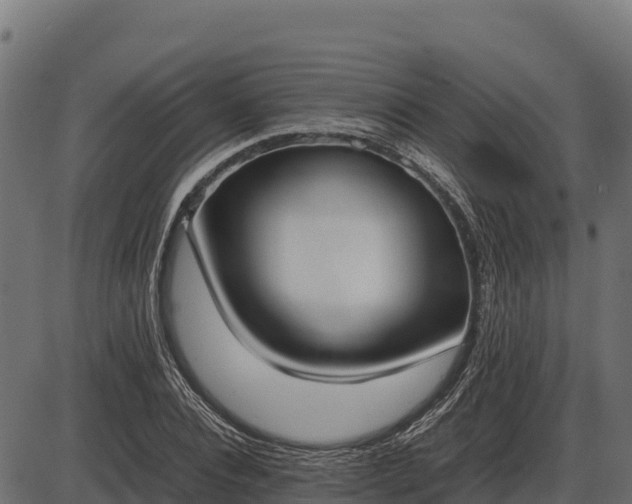 X0000086310928200704091043