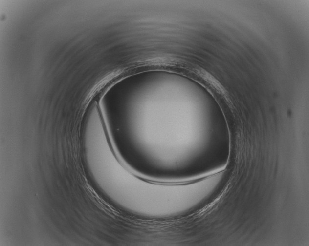 X0000086310930200704091043