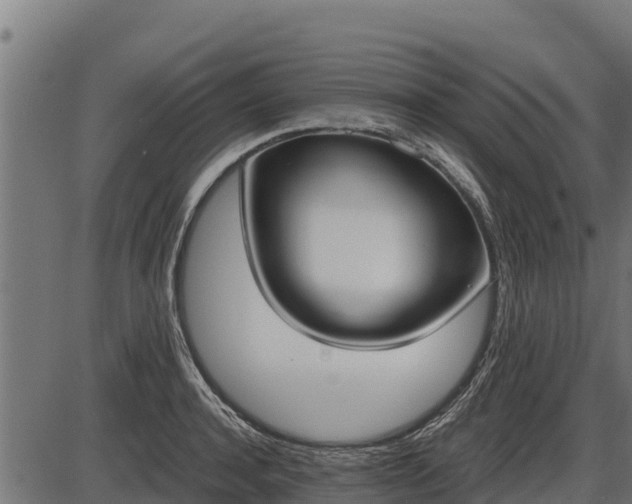 X0000086310944200704091043