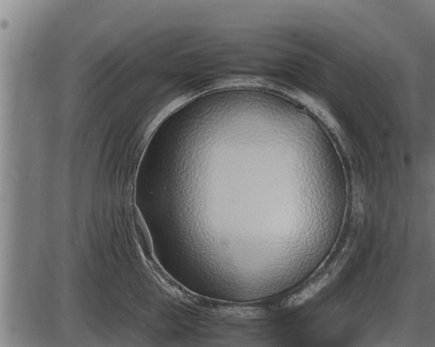 X0000086310953200704091043