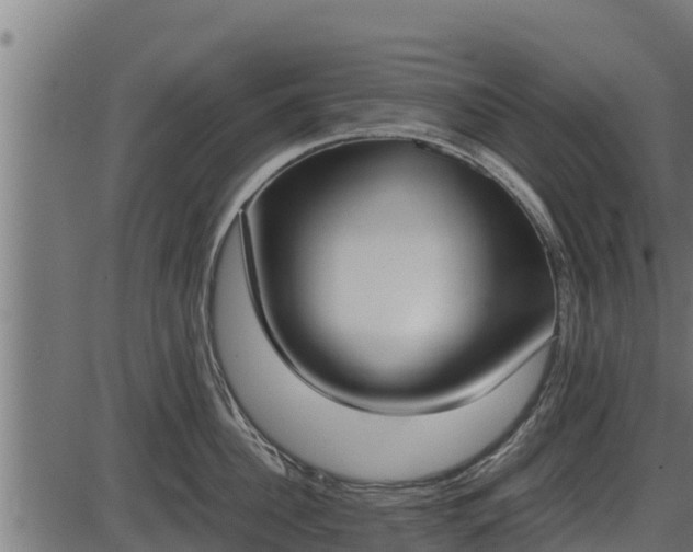 X0000086310956200704091043