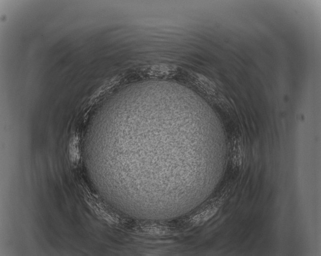 X0000086310962200704091043