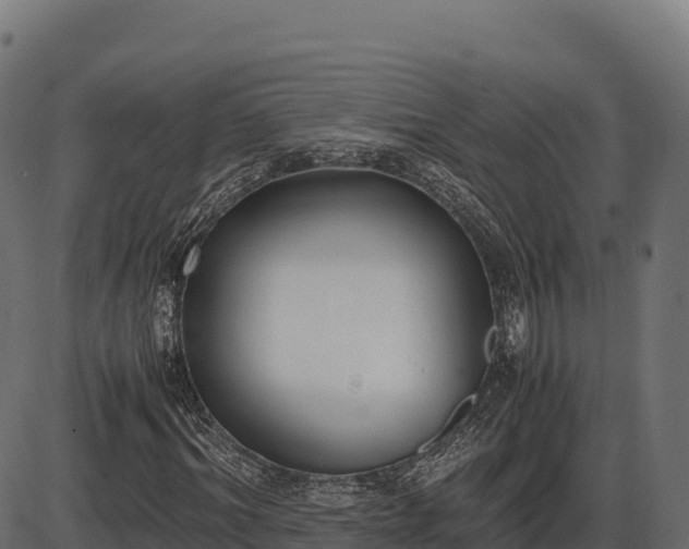 X0000086310964200704091043