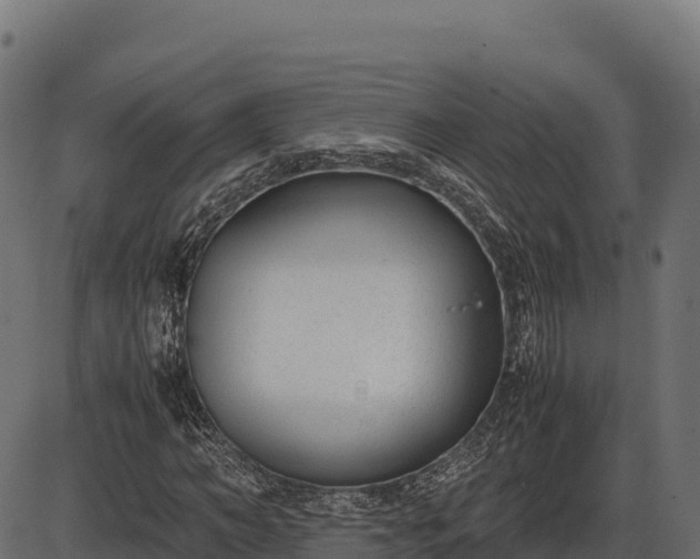 X0000086310966200704091043