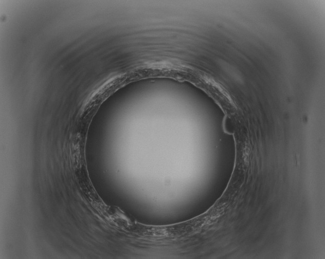 X0000086310968200704091043
