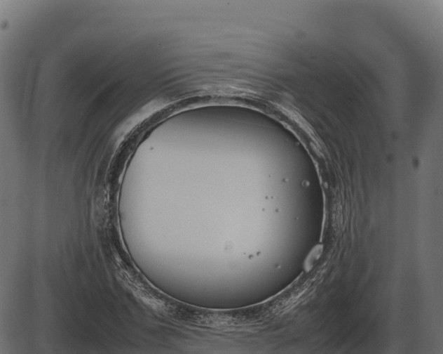 X0000086310971200704091042