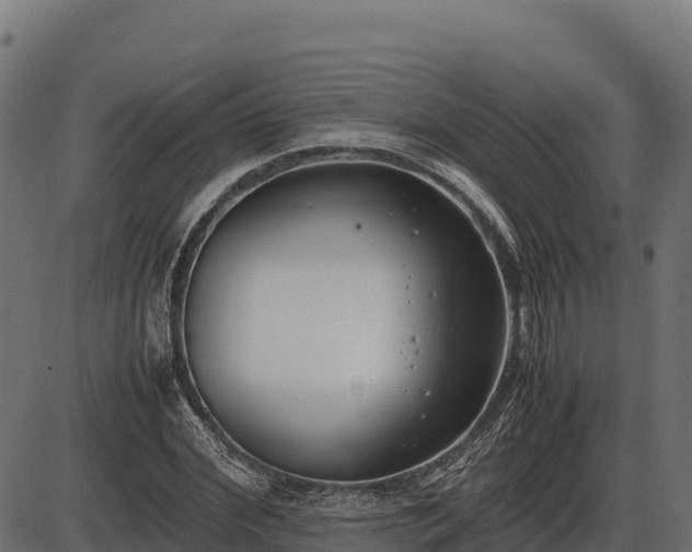 X0000086310972200704091042