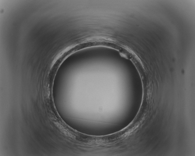 X0000086310973200704091042