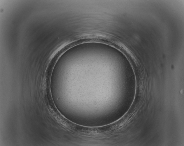 X0000086310975200704091042